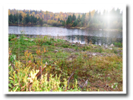 Terrain à proximité du Lac Taureau