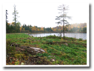 Terrain à proximité du Lac Taureau